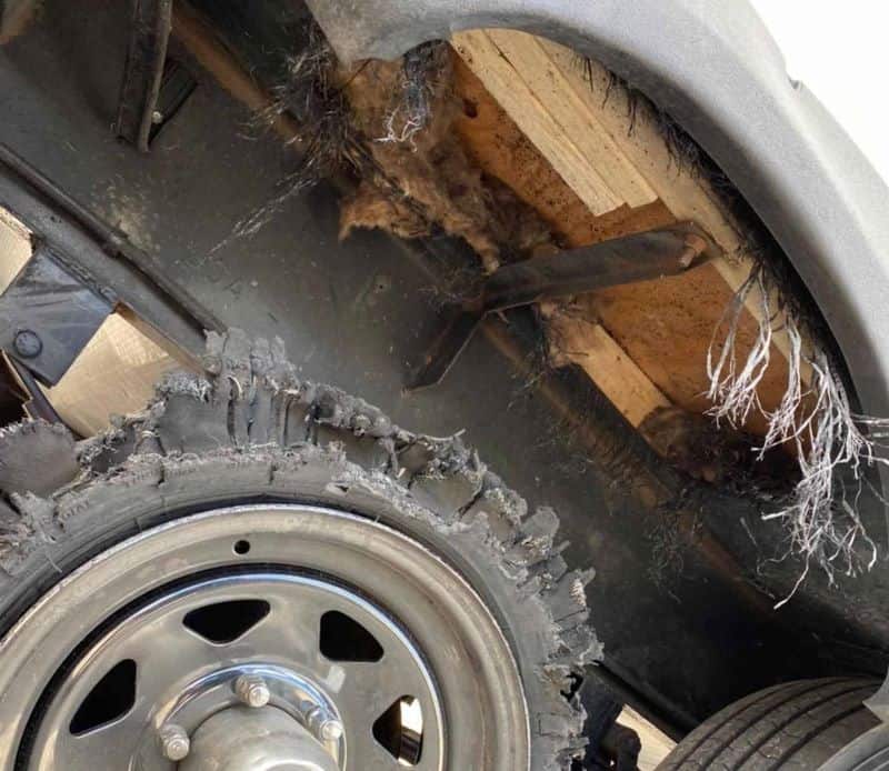 Does RV Insurance Cover Damage from Tire Blowouts?